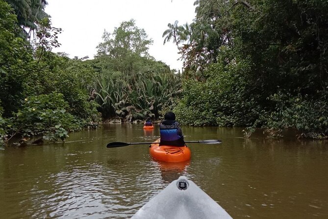 Lebam River Kayaking Adventure - Return to the hotel around 2:00 p.m.