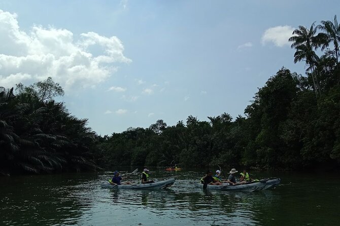 Lebam River Kayaking Adventure - Is $78.20 a fair price?