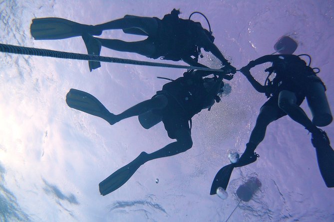 Leisure Diving | Fun Dives | 3 Dives in TARP, Kota Kinabalu - What the equipment and boat arrangements mean for you