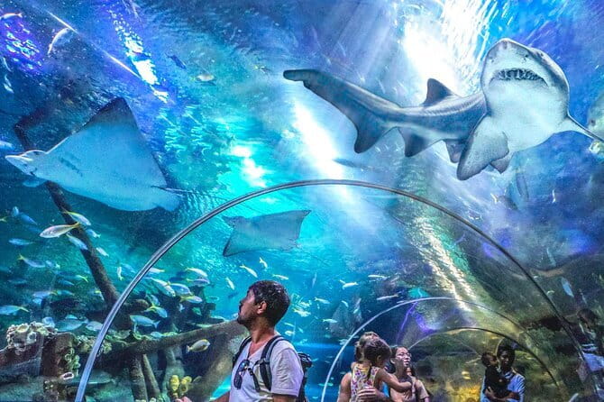 Malaysia: Aquaria KLCC Admission E-Ticket - Key points about Aquaria KLCC