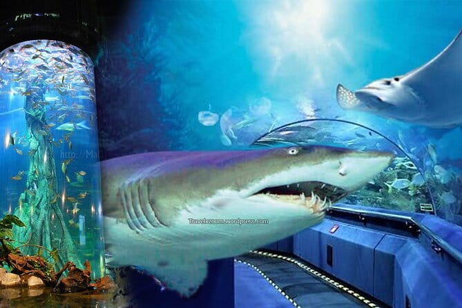 Malaysia: Aquaria KLCC Admission E-Ticket - Pairing Aquaria with the Petronas Twin Towers