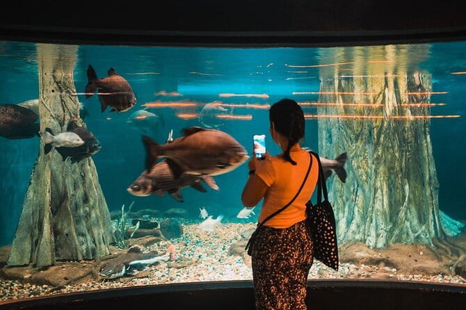 Malaysia: Aquaria KLCC Admission E-Ticket - Starting with marine life from around the world