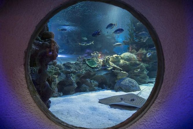 Malaysia: Aquaria KLCC Entry Ticket - What the Aquaria KLCC visit is really like