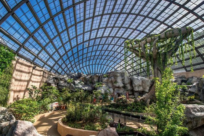 Malaysia: Discover Nature's Wonders with Entopia Entry Ticket - The Cocoon makes the visit more than a photo stop