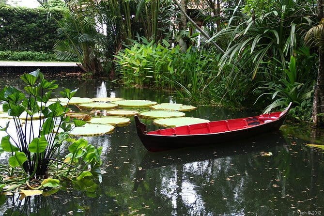 Malaysia: Penang Tropical Spice Garden Guided Tours Tickets - Choosing between a live guide and audio tour
