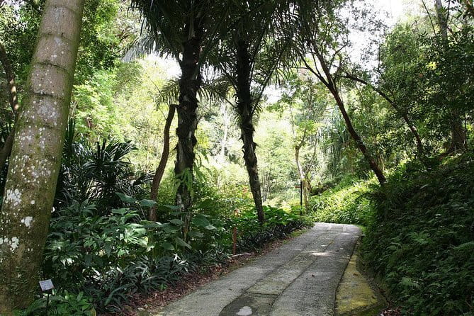 Malaysia: Penang Tropical Spice Garden Guided Tours Tickets - Walking the 8-acre secondary jungle valley