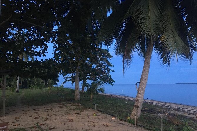 Mangrove Cruise with Fireflies Tour Including Dinner from Sandakan - Why this Sandakan evening works