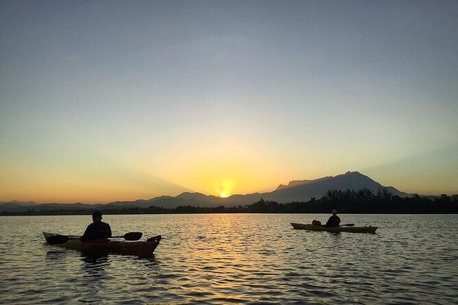 Mangrove Kayaking Experience in Borneo - Why this Kota Kinabalu paddle is worth an early alarm