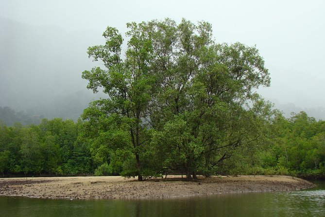 Mangrove River Cruise and Snorkeling Tour from Langkawi - Starting at Kubang Badak at 3 p.m.