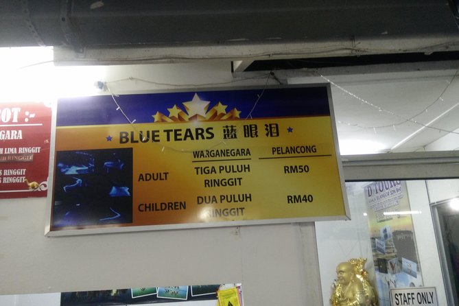 Monkey Hill, Eagle &Firefly Tour+Free Batu Caves Visit.(Per Car) - Fireflies on the Kuala Selangor mangroves