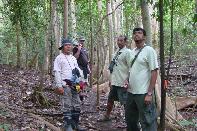 Morning Rainforest Walking from Langkawi - Starting at 9:00 am near Jalan Datai