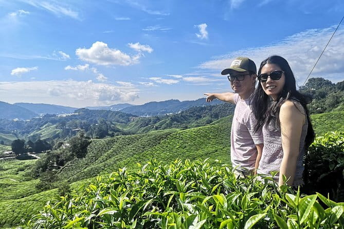 Mossy Forest in Brinchang Tour - Who will enjoy this tour most
