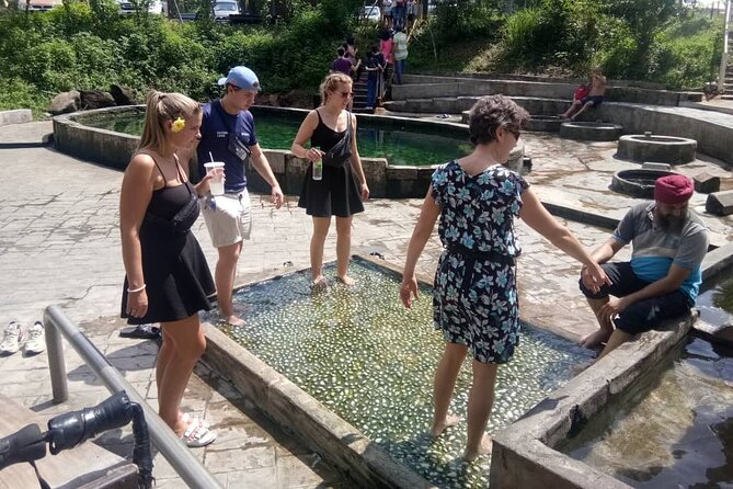 Nature’s Wonders: Kuala Selangor Fireflies & Hot Springs Tour - Why this evening trip works from Kuala Lumpur