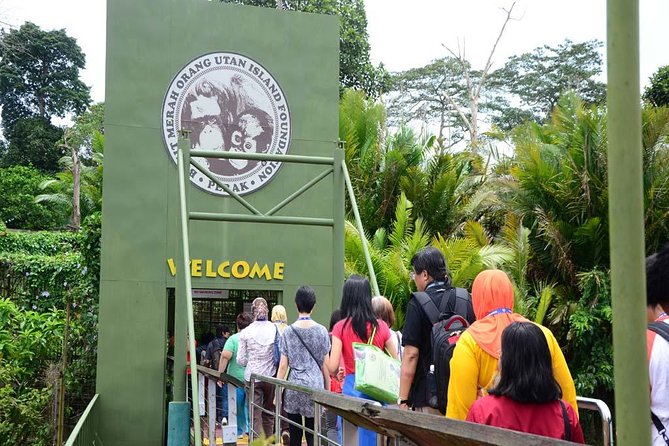 Orang Utan Island and Perak Tong Cave Temple Day Tour from Kuala Lumpur - The essential details at a glance