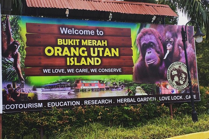 Orang Utan Island Day Tour - Is Orang Utan Island worth the long haul?