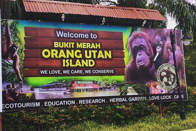 Orang Utan Island Day Tour (Private) - Sam Poh Tong Temple and Ipoh’s limestone country