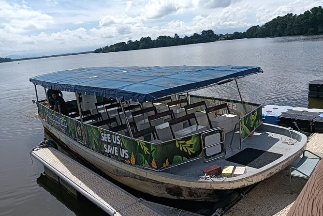 Orangutan Island, A Responsible Wildlife Sanctuary Experience - Watching orangutans from a secure viewing area