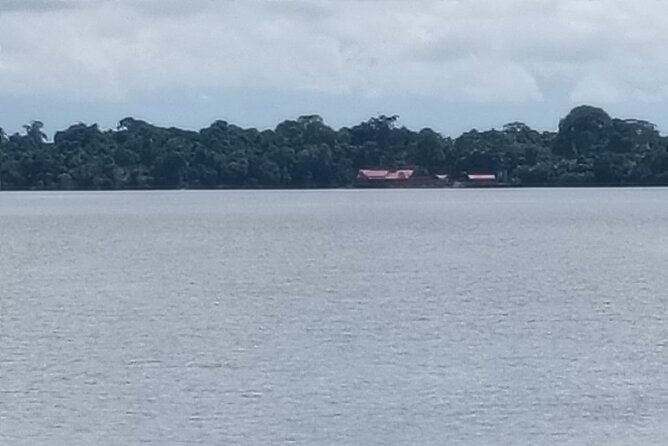 Orangutan Island, A Responsible Wildlife Sanctuary Experience - Who should book this experience?