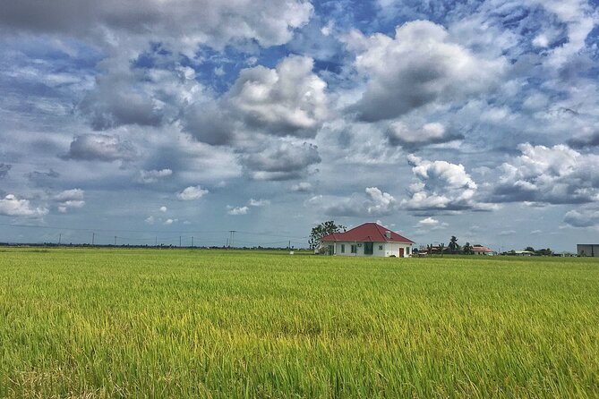 Paddy Field, Fishing Village Sekinchan DAY Tour Lunch (SIC-Shared/Join In Tour) - The wishing tree and the beach stop