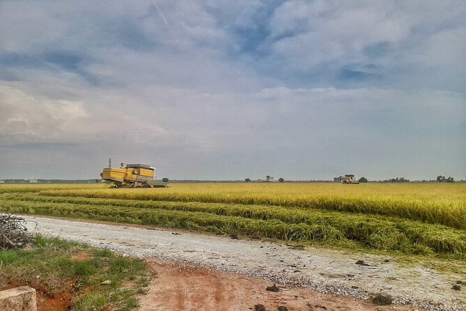 Paddy Field, Fishing Village Sekinchan DAY Tour Lunch (SIC-Shared/Join In Tour) - The shared vehicle experience