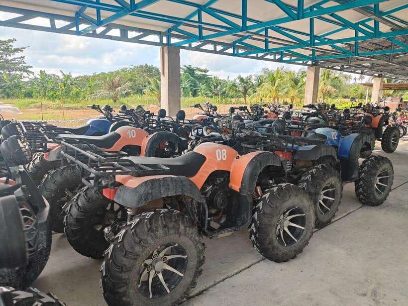 Penang: ATV Ride in Balik Pulau with Snacks and Transfers - Why Balik Pulau Makes a Good ATV Setting
