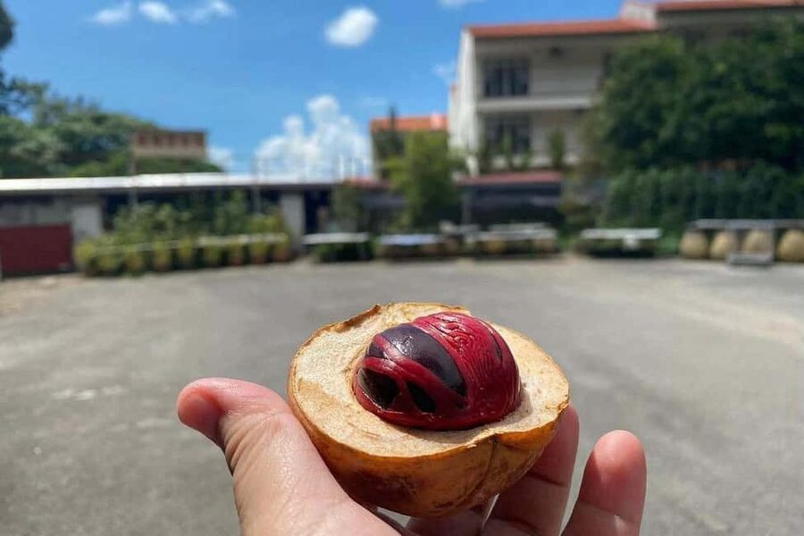 Penang: Balik Pulau Culture Experience & Village Tour - Why Balik Pulau feels different from Georgetown