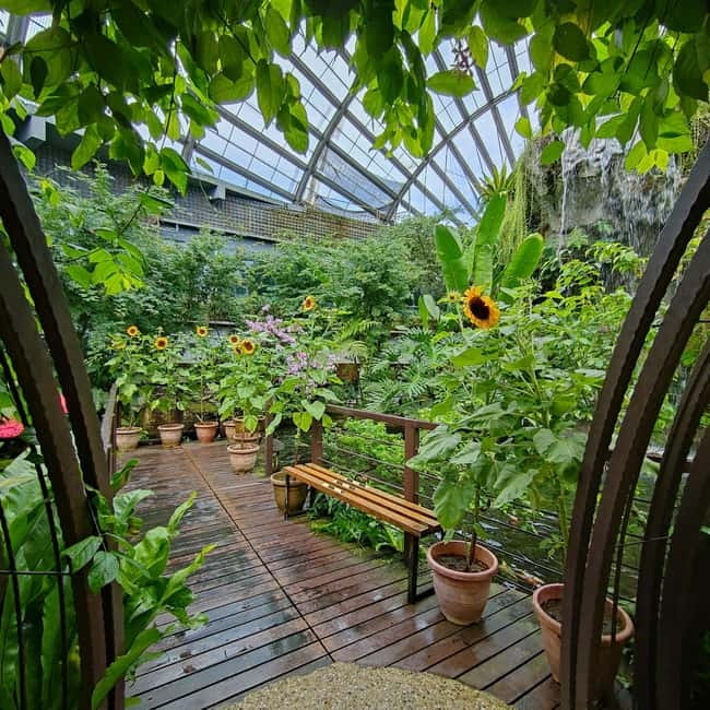 Penang: Entopia General Admission Tickets - Should you book Entopia Penang?