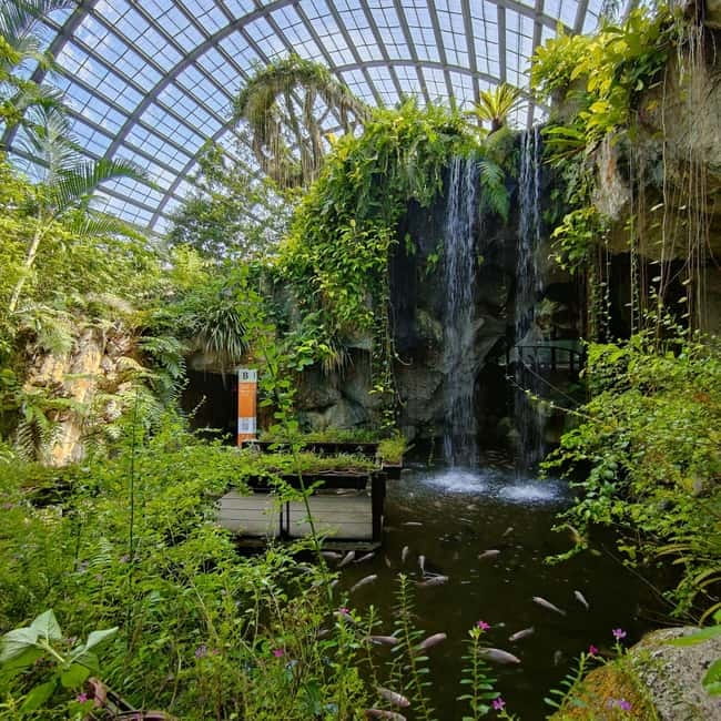Penang: Entopia General Admission Tickets - The Thai water garden and the wider plant world