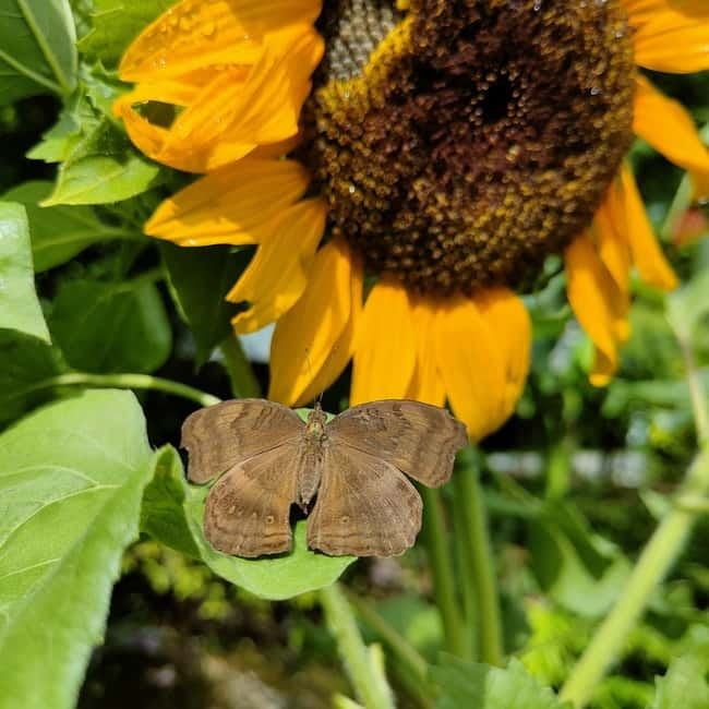 Penang: Entopia General Admission Tickets - Practical tips for a better visit