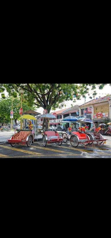 Penang: Exciting Local Full Day Private tour 6-10pax(8Hours) - Temples, beaches, and nature stops