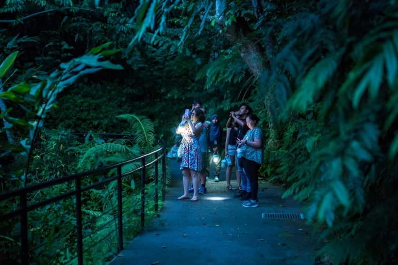 Penang: The Habitat Penang Hill Entry Ticket - Starting the 1.6-kilometre rainforest walk