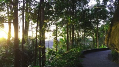 The Habitat Penang Hill Entry Ticket