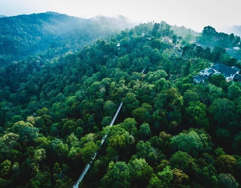 Penang: The Habitat Penang Hill Entry Ticket - Who will enjoy this experience most