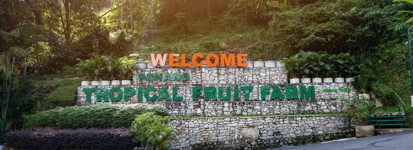 Penang: Tropical Fruit Farm Ticket - Reaching Tropical Fruit Farm in Teluk Bahang