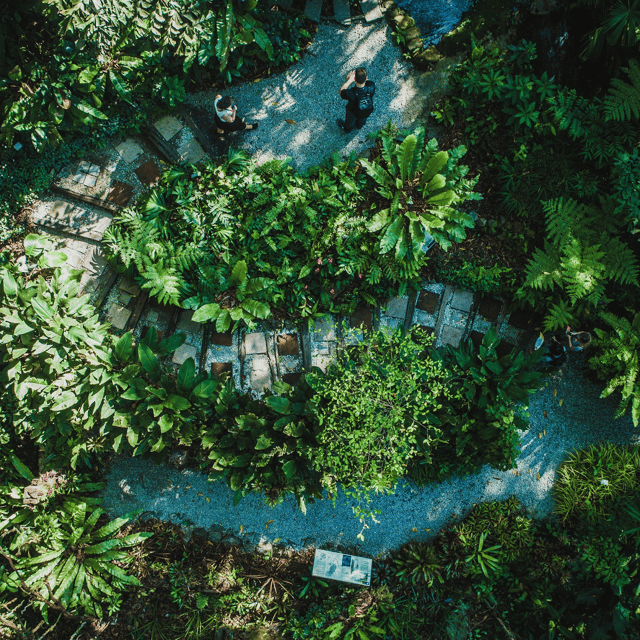 Penang: Tropical Spice Garden Entrance Ticket & Guided Tours - Wildlife and the garden’s quieter moments