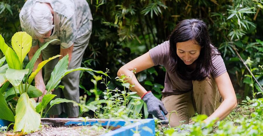 Penang: Tropical Spice Garden Entrance Ticket & Guided Tours - Following the themed gardens across eight acres