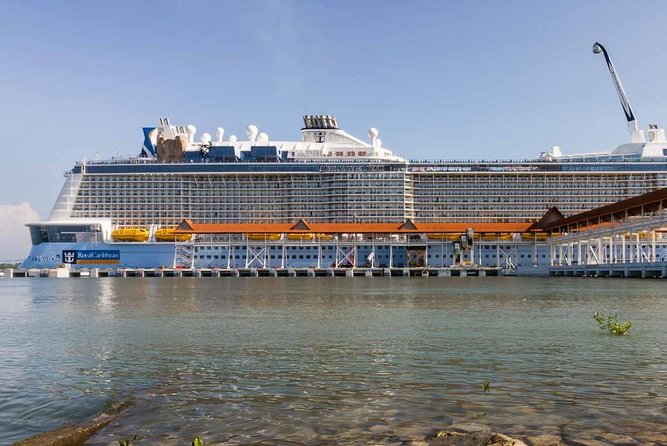 Port Klang Shore Excursions for KL City Tour - What the $82 Price Covers
