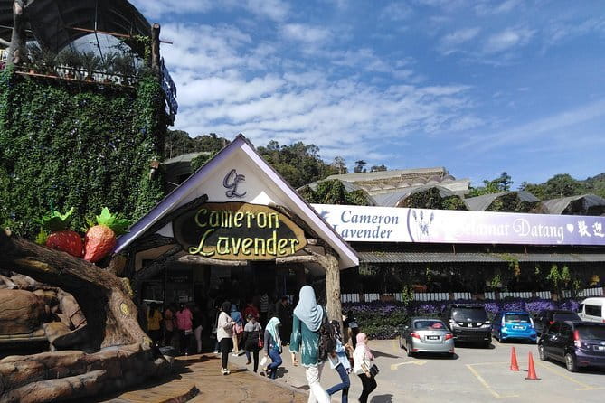 Private: Cameron Highlands 2 days 1 night Trip - Day one: waterfall, tea, gardens, and mountain markets