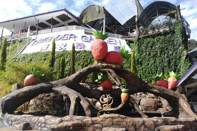 Private: Cameron Highlands 2 days 1 night Trip - Who should book this Cameron Highlands trip?