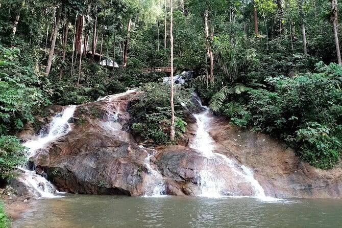 Private Fireflies Tour with Blue Tears and Seafood Dinner - Private car, shared boat