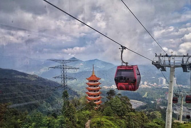 Private Fireflies Tour with Blue Tears and Seafood Dinner - Who should book this experience?