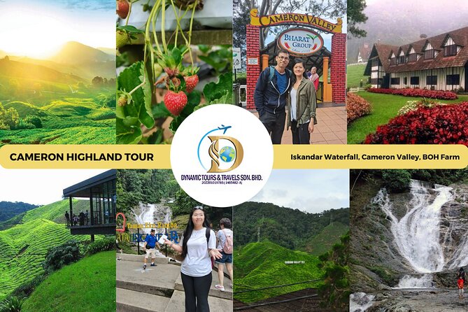 Private Full-Day Cameron Highlands Nature Tour from Kuala Lumpur - Key points at a glance