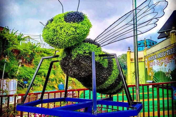 Private Full-Day Cameron Highlands Nature Tour from Kuala Lumpur - Tea country at Cameron Valley