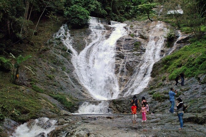 Private Full-Day Cameron Highlands Nature Tour from Kuala Lumpur - Lunch and the long road back