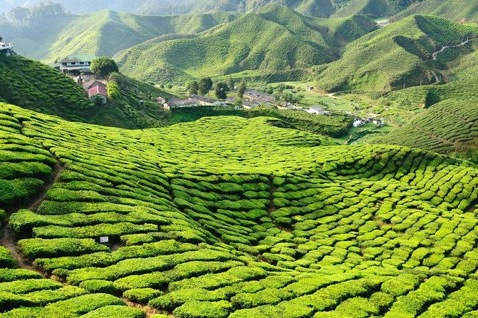 Private Full-Day Cameron Highlands Nature Tour from Kuala Lumpur - The climb through Tapah and Lata Iskandar