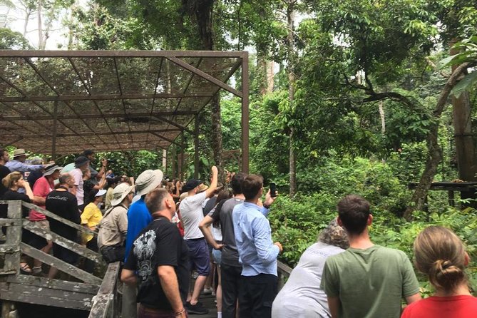 Private Full Day Sepilok Orang Utan, Bornean Sun Bear and Rainforest Discovery Center Tour - Why this makes sense for a short visit to Sandakan