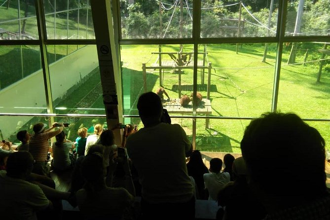 Private Full Day Sepilok Orang Utan, Bornean Sun Bear and Rainforest Discovery Center Tour - Bornean Sun Bear Conservation Centre: a close look at a smaller bear