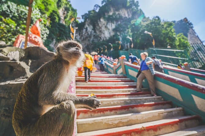 Private Half-Day Batu Caves and Cutural Tour in Kuala Lumpur - Visiting the National Mosque of Malaysia