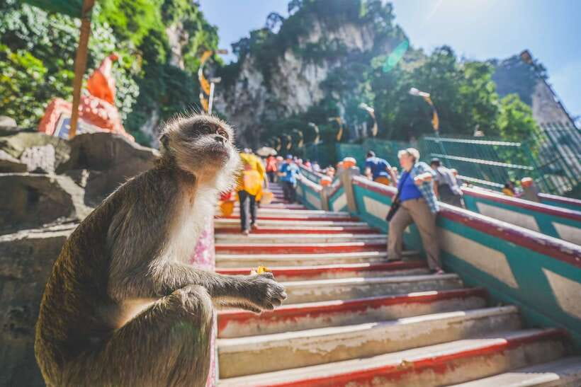 Private KL City Tour with Petronas Twin Towers & Batu Caves - Batu Caves: colorful, spiritual, and physically demanding