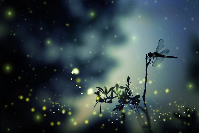 Private Kuala Lumpur Fairy Firefly And Monkey Hill Tour - From Kuala Lumpur to Bukit Melawati